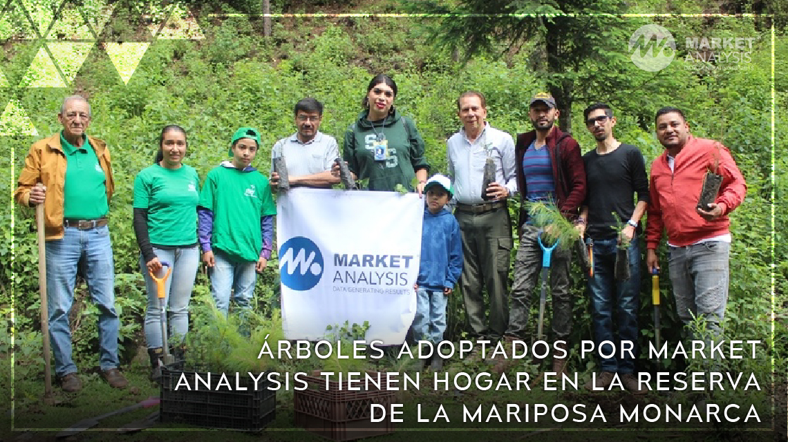 Árboles adoptados por Market Analysis tienen hogar en la Reserva de la Mariposa Monarca